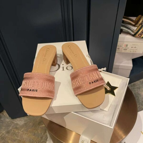 DIOR Dway Slide