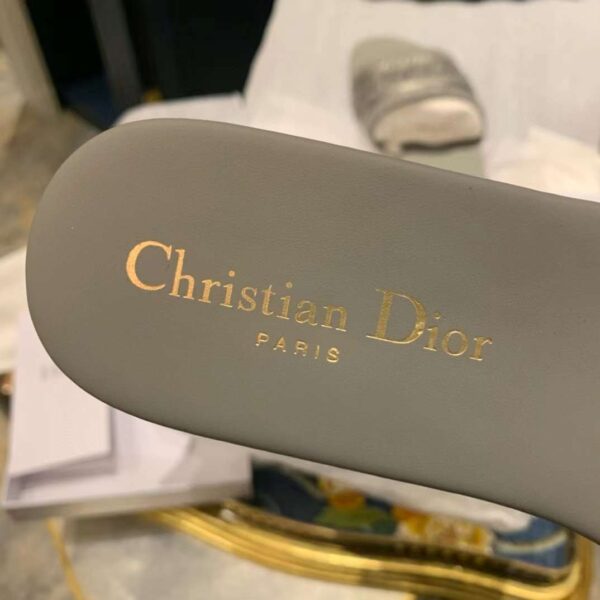 DIOR Dway Slide