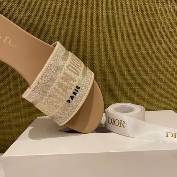 DIOR Dway Slide