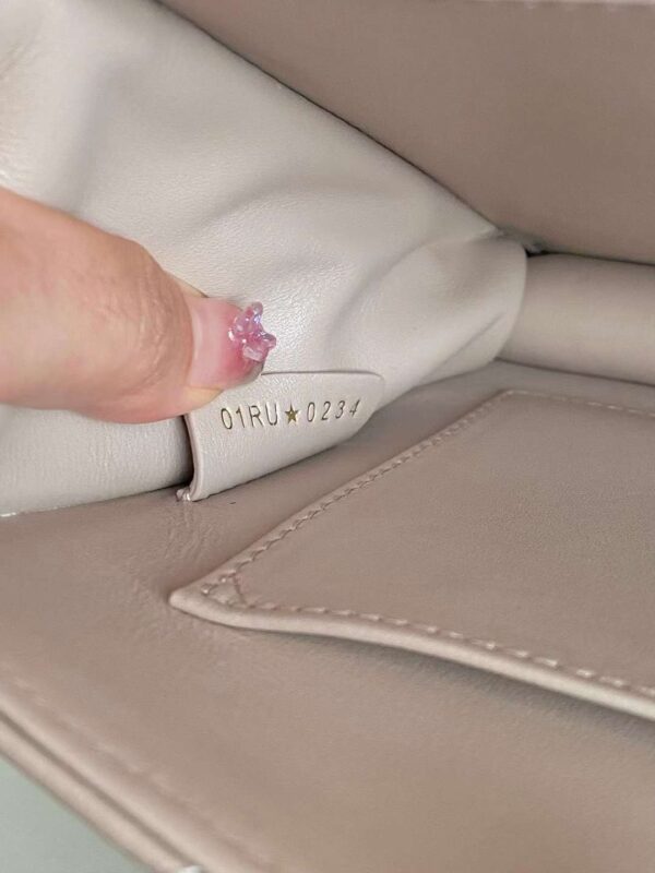 small DIOR  ANGE BAG