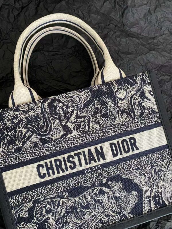 Small Dior Book Tote