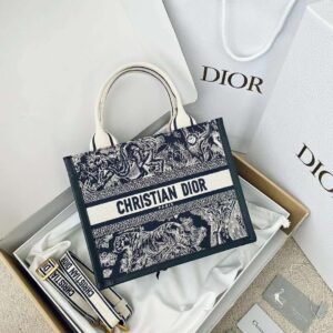 Small Dior Book Tote