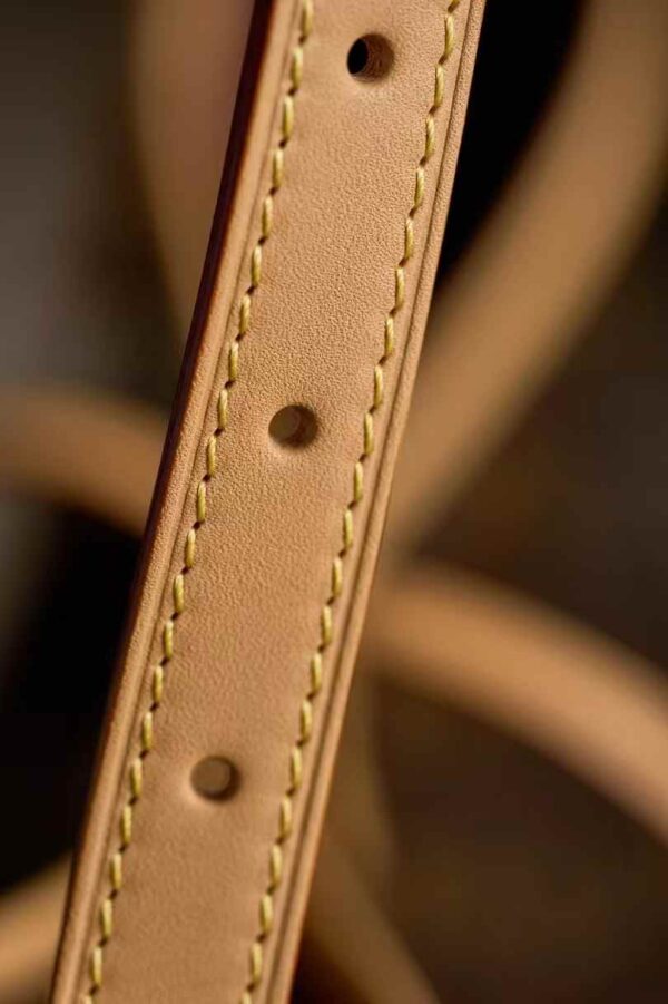 LOUIS VUITTON CARRYALL M46203