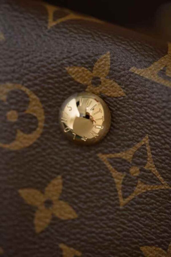 LOUIS VUITTON CARRYALL M46203