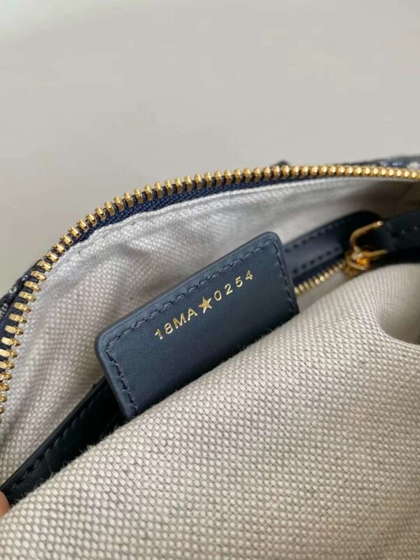 Dior Groove 20 Bag
