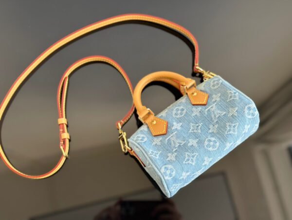 LV NANO SPEEDY handbag