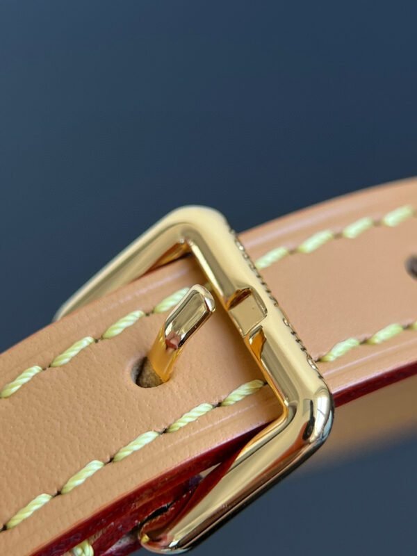 LV NANO SPEEDY handbag