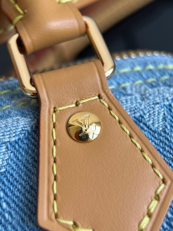 LV NANO SPEEDY handbag