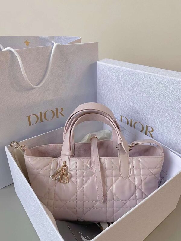 Small Dior Toujours Bag