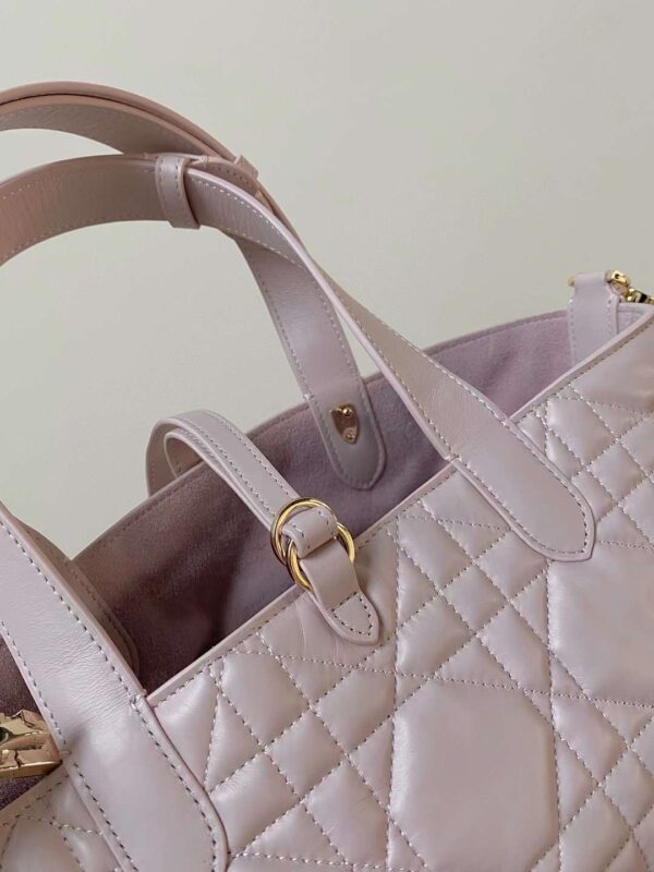 Small Dior Toujours Bag