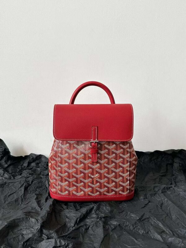 GOYARD Alpin MM Backpack