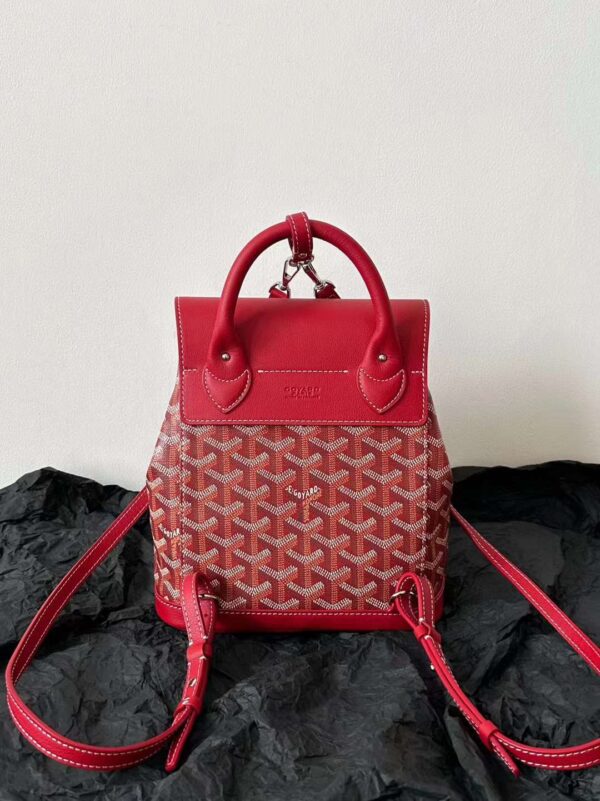 GOYARD Alpin MM Backpack