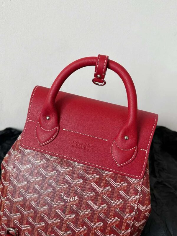 GOYARD Alpin MM Backpack