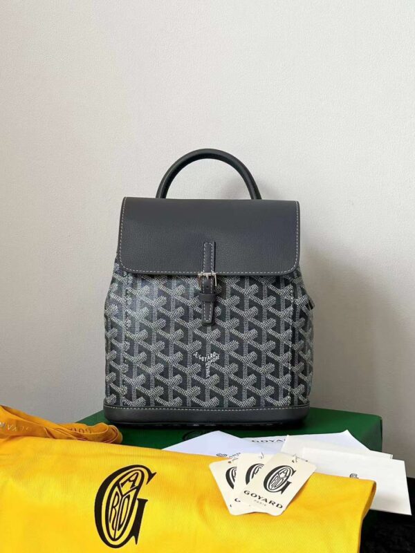 GOYARD Alpin MM Backpack