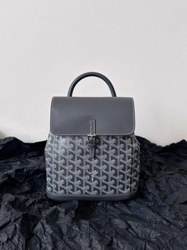GOYARD Alpin MM Backpack