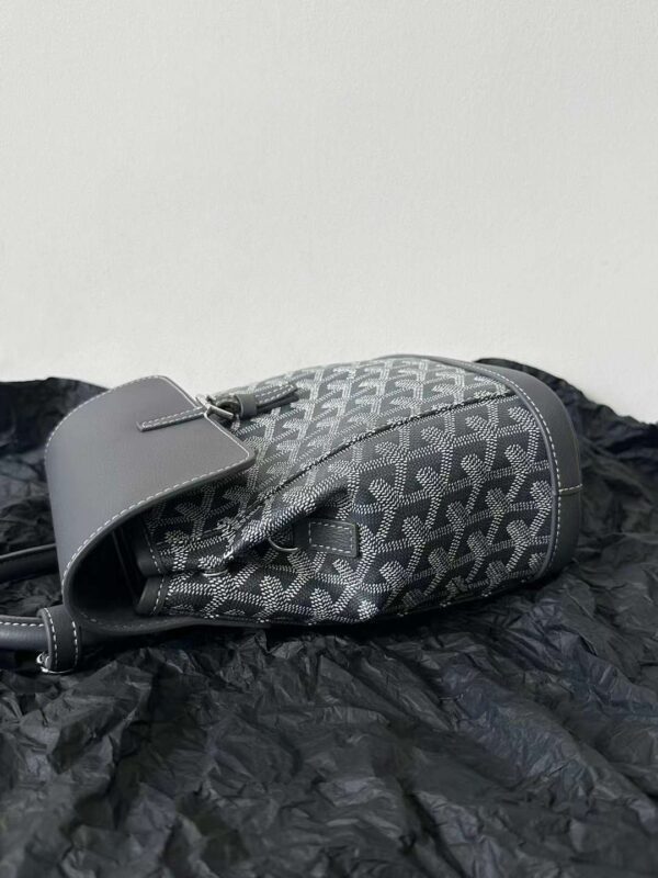 GOYARD Alpin MM Backpack