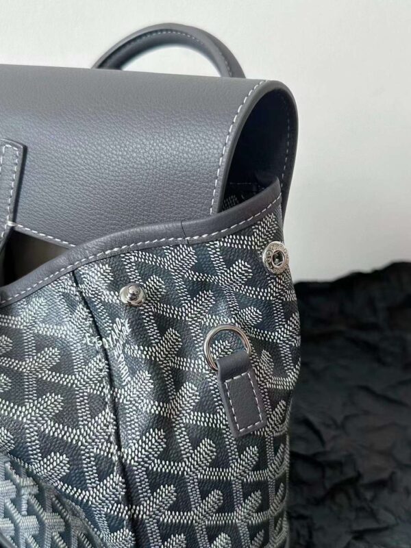 GOYARD Alpin MM Backpack