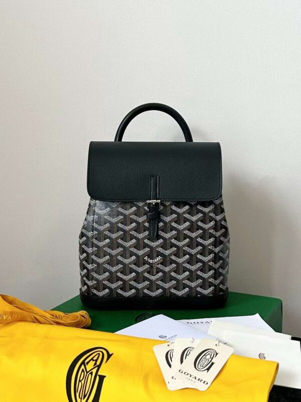 GOYARD Alpin MM Backpack