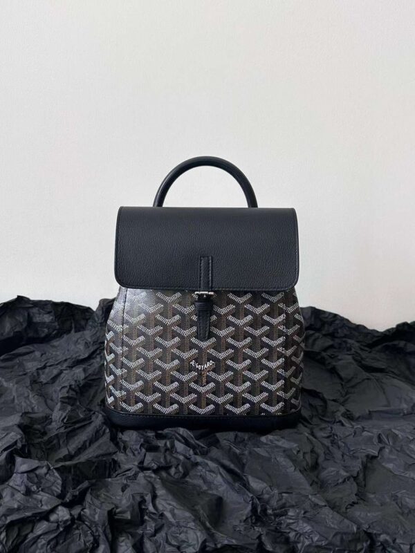 GOYARD Alpin MM Backpack