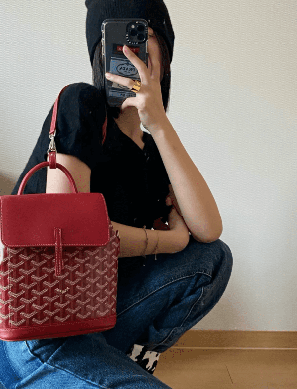 GOYARD Alpin MM Backpack