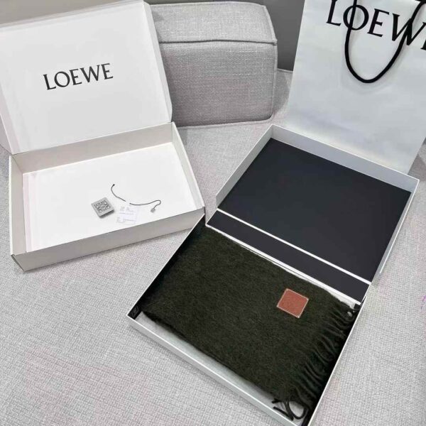 LOEWE Scarf