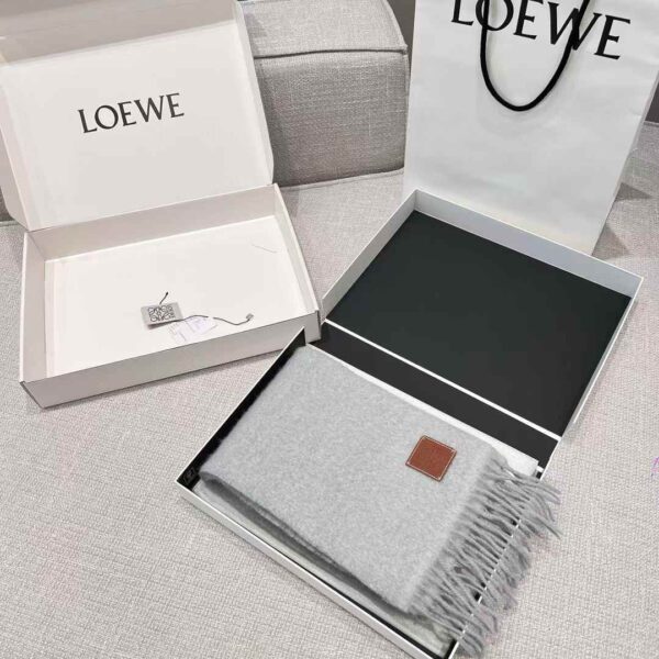 LOEWE Scarf