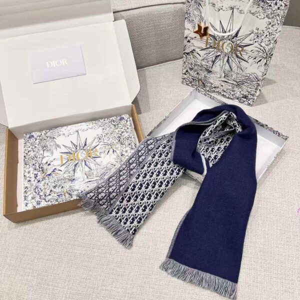 DIOR Scarf