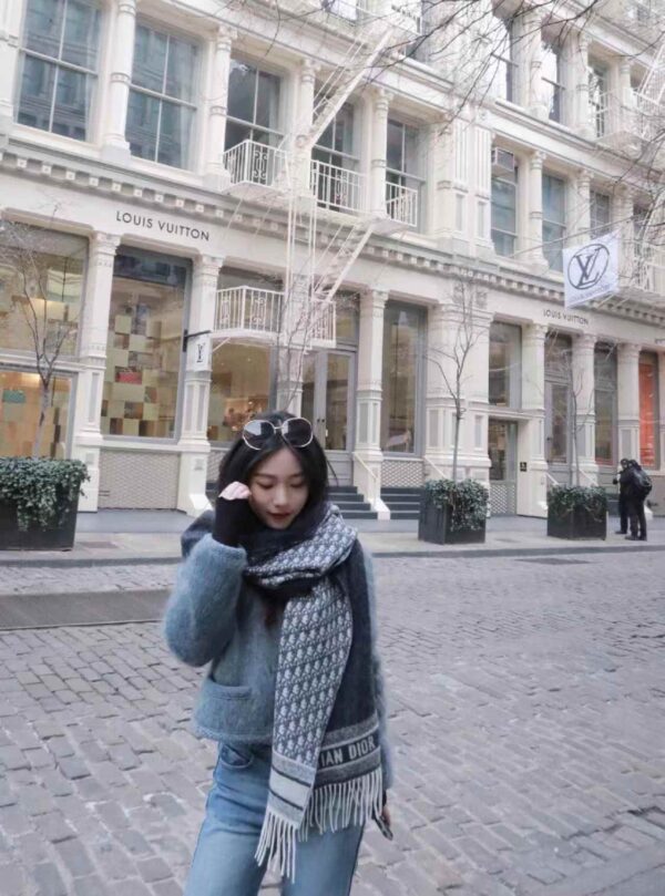 DIOR  Double cashmere scarf