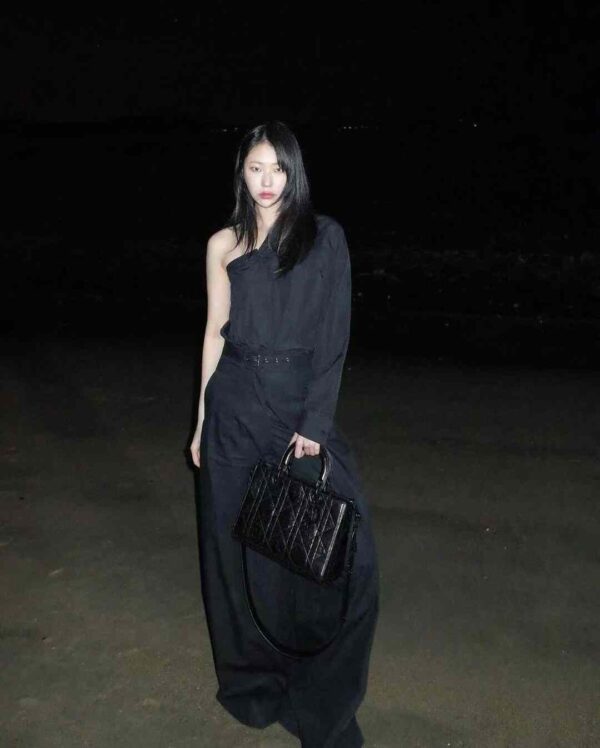 Medium Lady D-Sire My ABCDior Bag