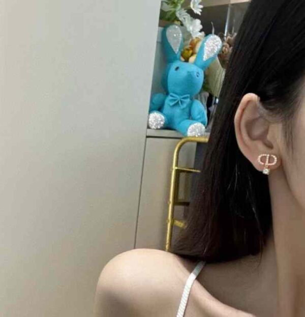DIOR Earrings
