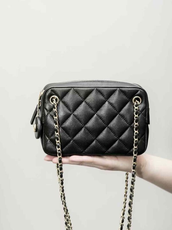 CHANEL Mini Camera Case