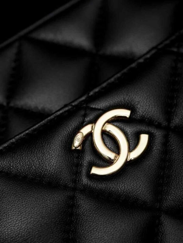 CHANEL Mini Camera Case