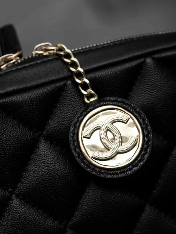 CHANEL Mini Camera Case
