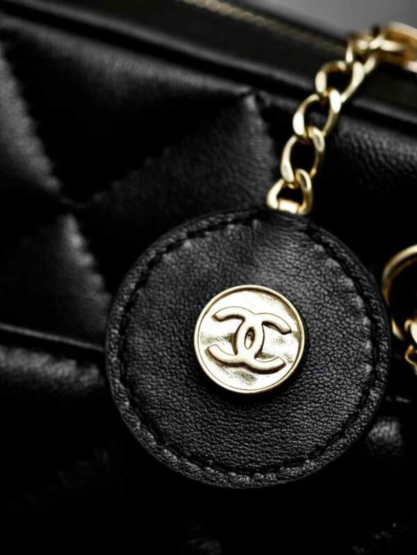 CHANEL Mini Camera Case