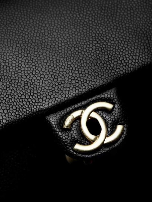 CHANEL Mini Flap Bag