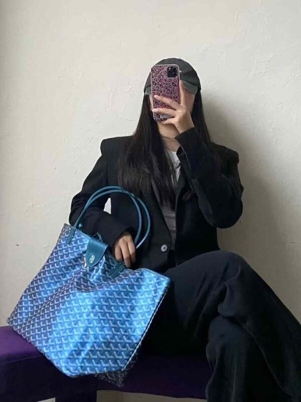 GOYARD Saint Louis GM Bag 2024
