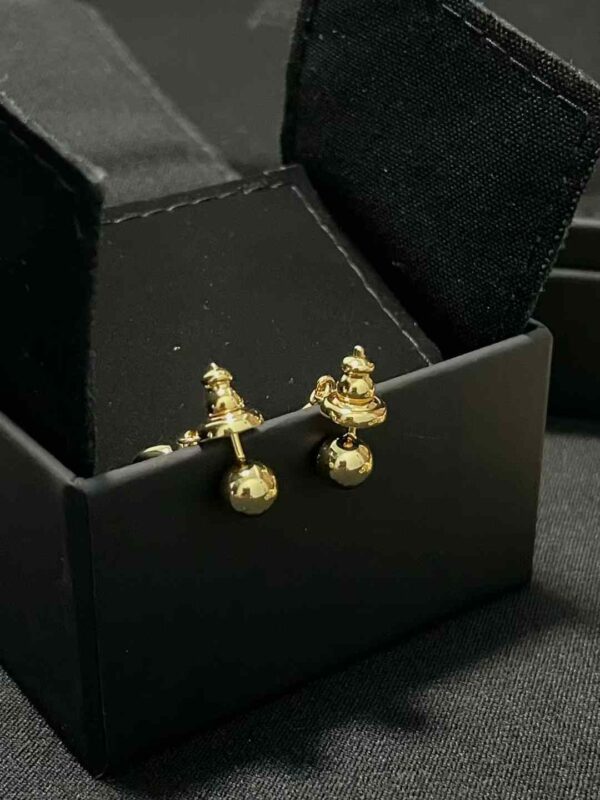 DIOR Earrings