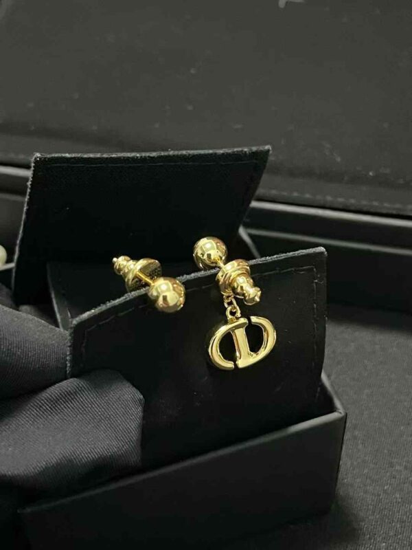 DIOR Earrings