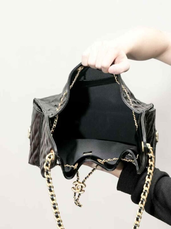CHANEL 25 BAGS
