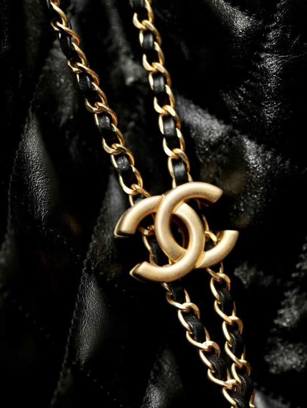 CHANEL 25 BAGS