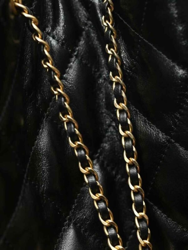 CHANEL 25 BAGS