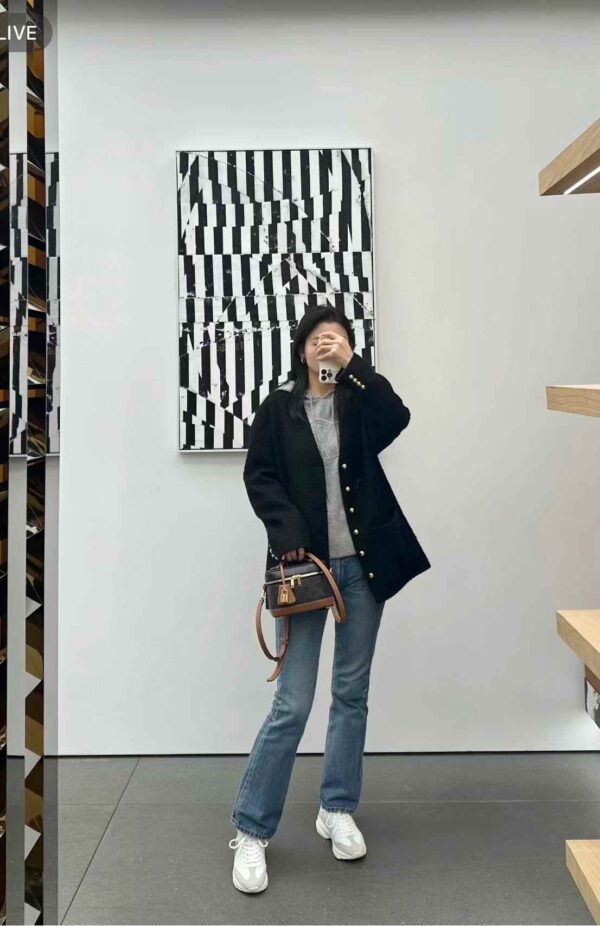 CELINE VANITY in Triomphe Canvas and calfskin