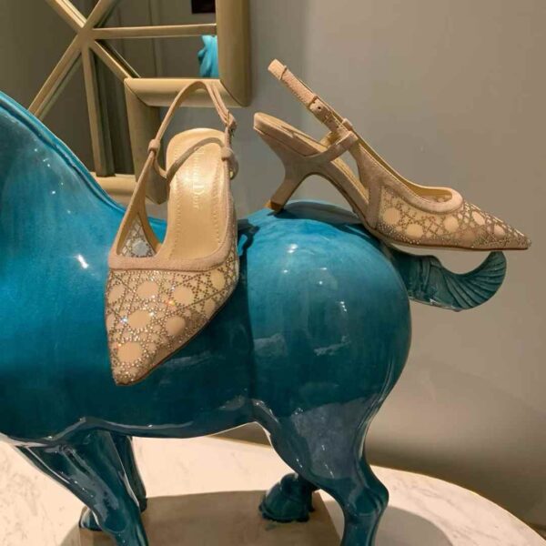 DIOR CAPTURE High heels