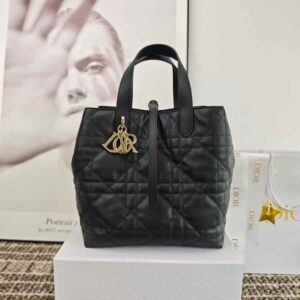 Dior Toujours Vertical Tote Bag