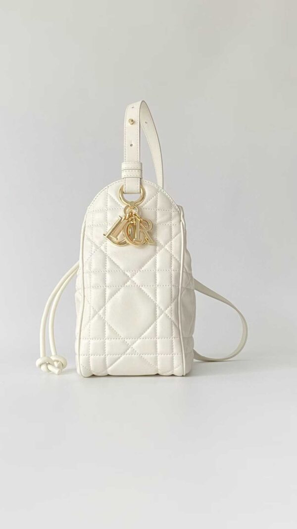 DIOR D-Motion Bag
