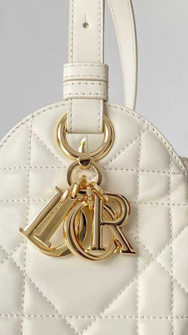 DIOR D-Motion Bag