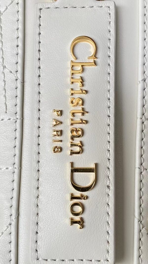 DIOR D-Journey Bag in Crinkled Calfskin