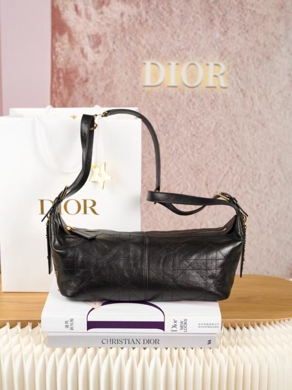 DIOR D-Journey Bag in Crinkled Calfskin