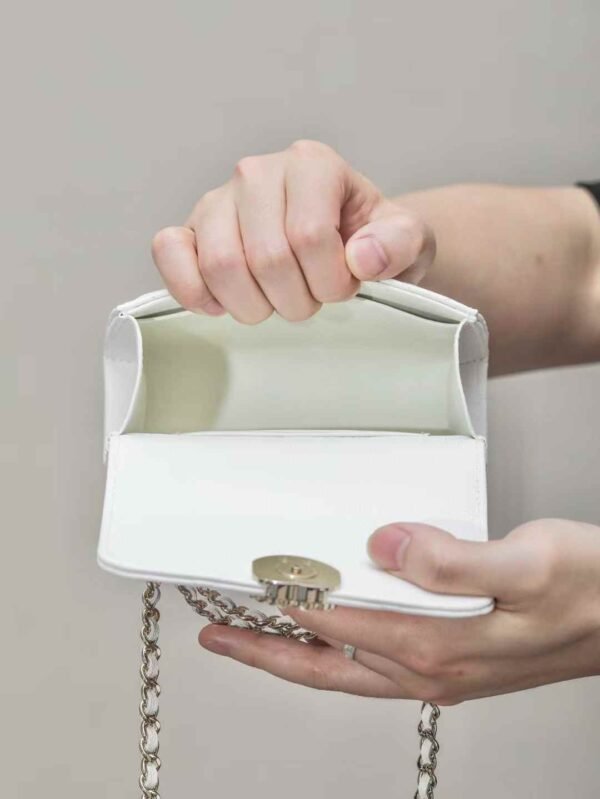 CHANEL Clutch with Chain
