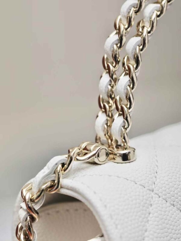 CHANEL Clutch with Chain
